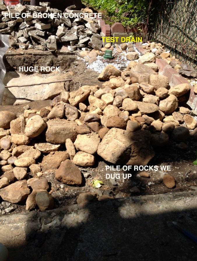 Backyard rocks