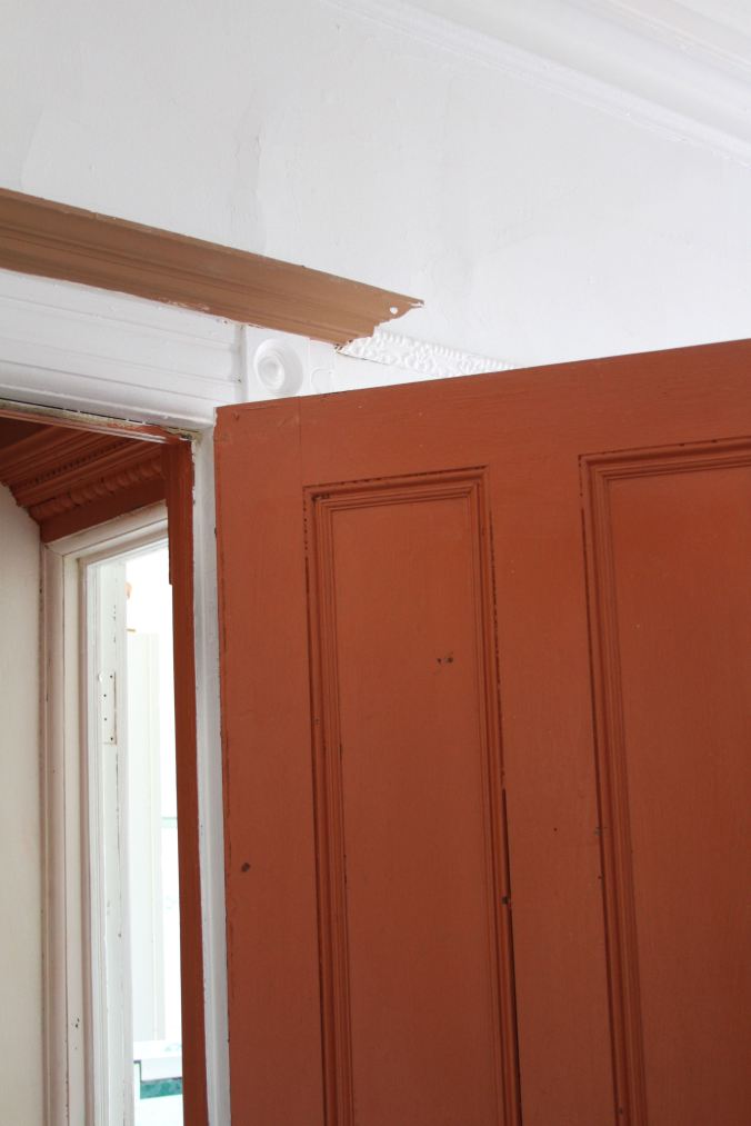 Brown and Muppet Flesh